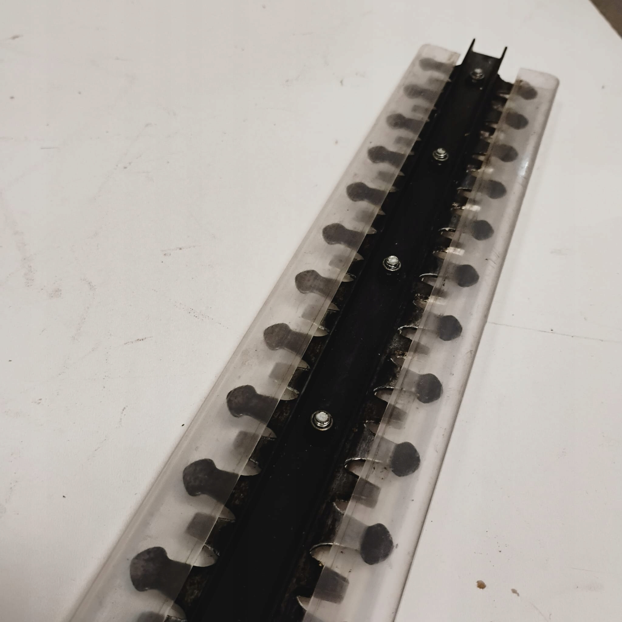 17032970144