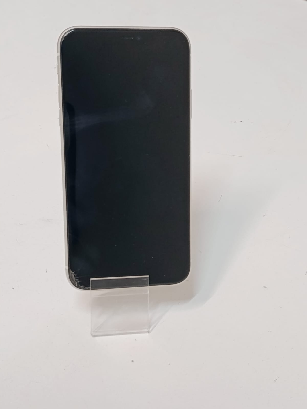 17254656015