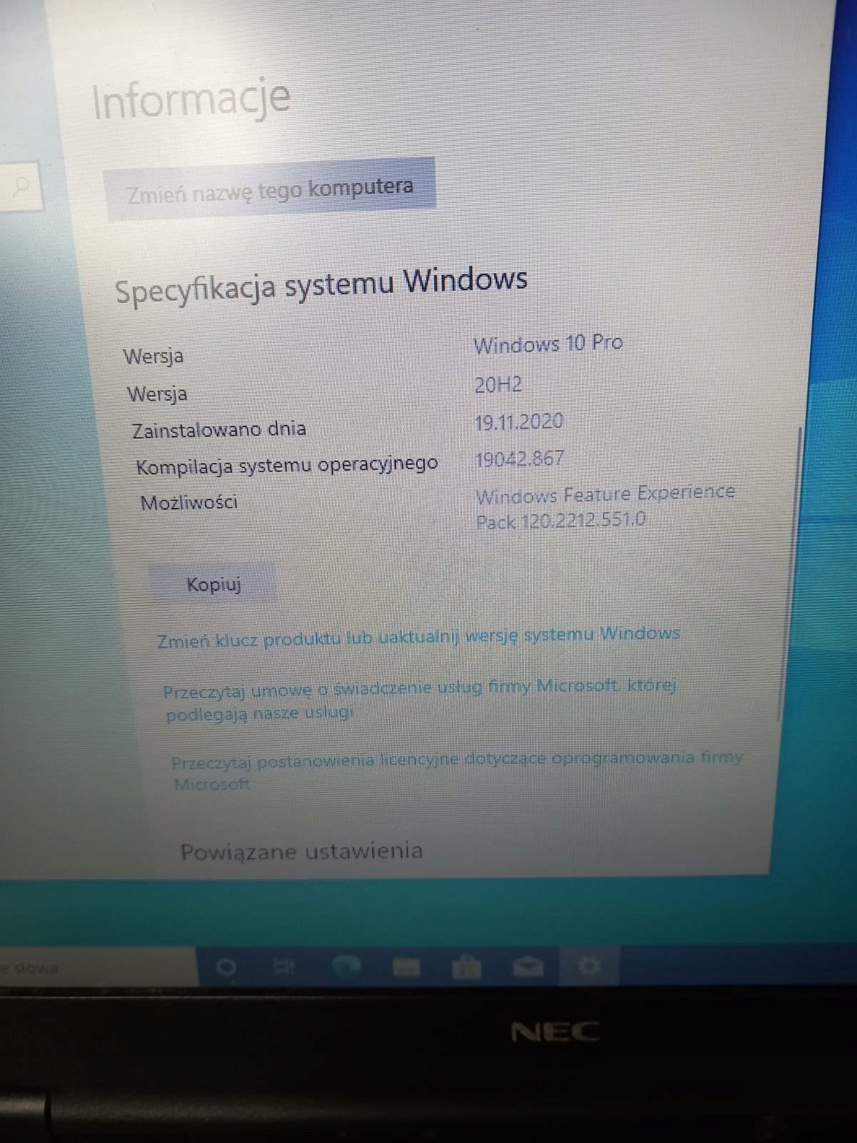 17303883236