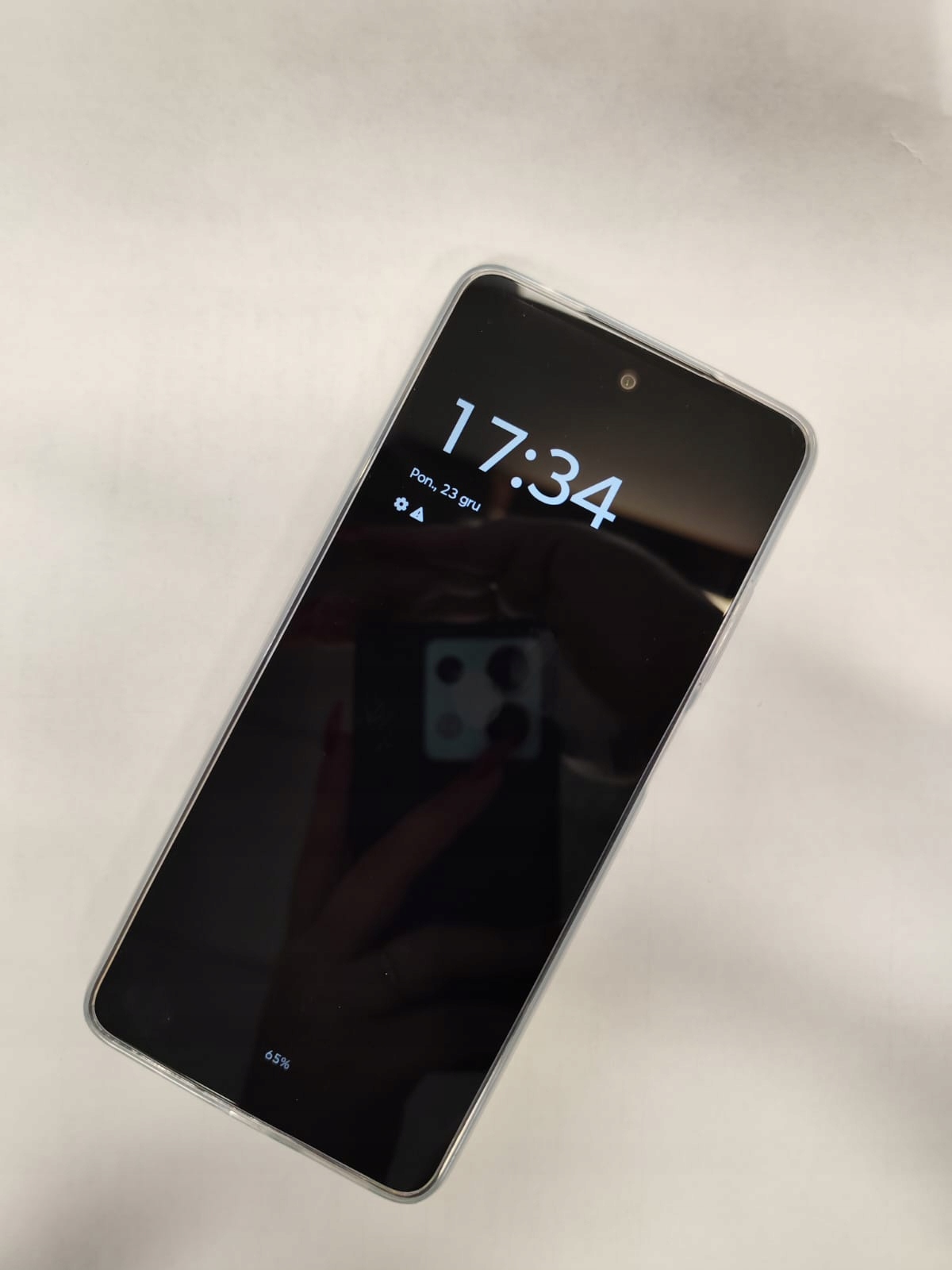 17315057872