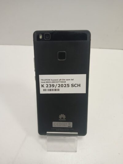 17315486596