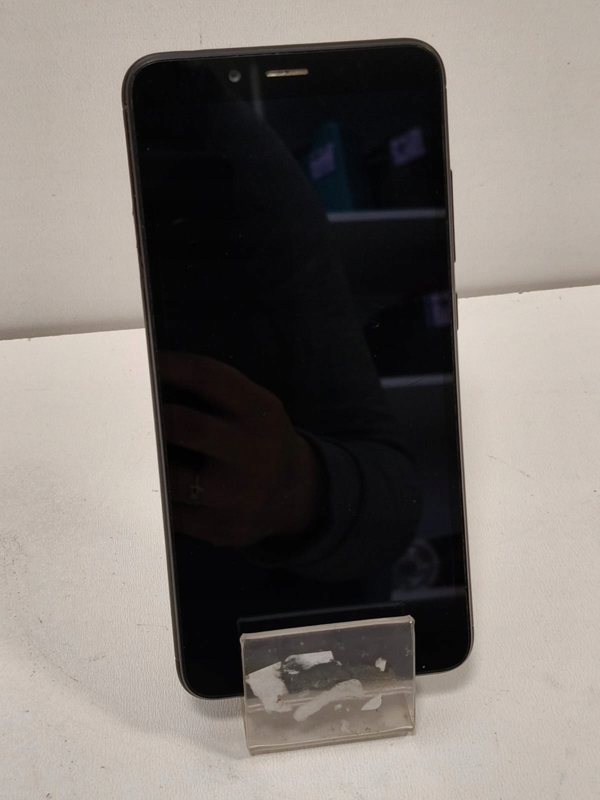 17550037759